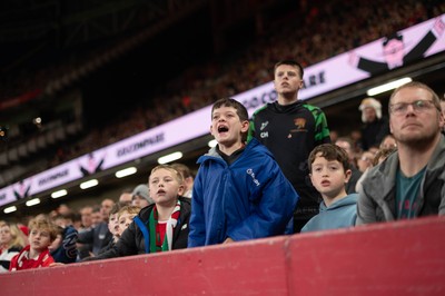 091125 - Wales v Argentina - Quilter Nations Series - Wales fans during the game 
