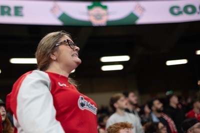 091125 - Wales v Argentina - Quilter Nations Series - Wales fans during the game 
