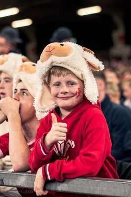 091125 - Wales v Argentina - Quilter Nations Series - Wales fans during the game 
