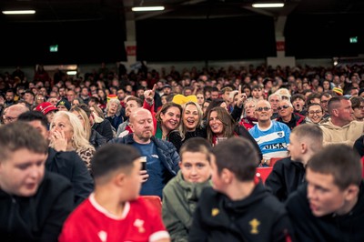 091125 - Wales v Argentina - Quilter Nations Series - Wales fans during the game 