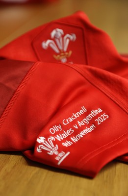 091125 - Wales v Argentina - Quilter Nations Series - Olly Cracknell of Wales jersey in the dressing room before the game