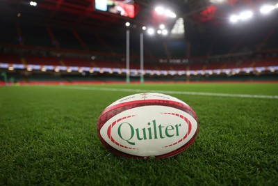 091125 - Wales v Argentina - Quilter Nations Series - General View of Principality Stadium