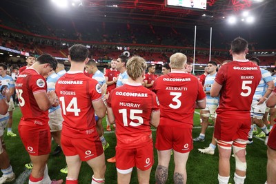 091125 - Wales v Argentina - Quilter Nations Series - Wales at full time