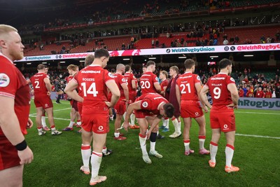 091125 - Wales v Argentina - Quilter Nations Series - Wales at full time