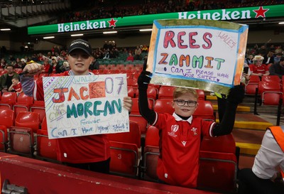 091125 - Wales v Argentina - Quilter Nations Series - Fans