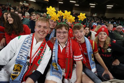 091125 - Wales v Argentina - Quilter Nations Series - Fans
