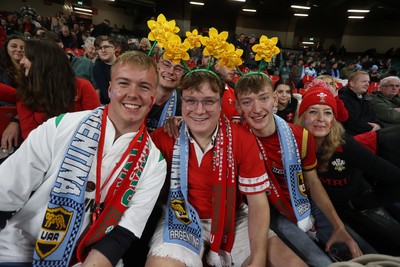 091125 - Wales v Argentina - Quilter Nations Series - Fans