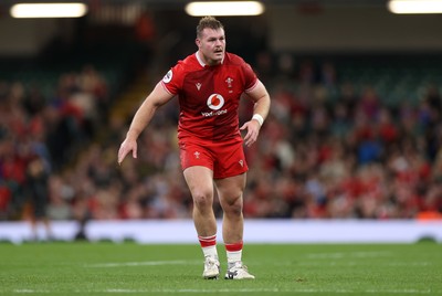 091125 - Wales v Argentina - Quilter Nations Series - Dewi Lake of Wales 