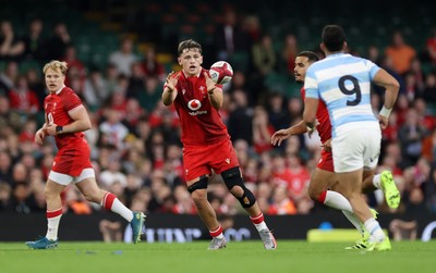 091125 - Wales v Argentina - Quilter Nations Series - Alex Mann of Wales 
