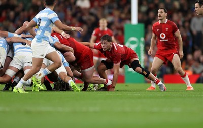 091125 - Wales v Argentina - Quilter Nations Series - Alex Mann of Wales 