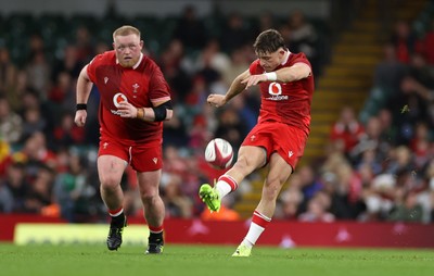 091125 - Wales v Argentina - Quilter Nations Series - Dan Edwards of Wales 