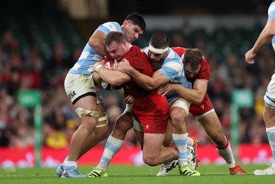 091125 - Wales v Argentina - Quilter Nations Series - Dewi Lake of Wales 