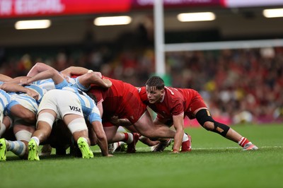 091125 - Wales v Argentina - Quilter Nations Series - Alex Mann of Wales 