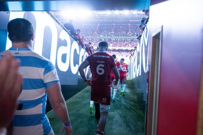 091125 - Wales v Argentina - Quilter Nations Series - Alex Mann of Wales walks out the tunnel
