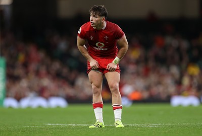 091125 - Wales v Argentina - Quilter Nations Series - Dan Edwards of Wales 