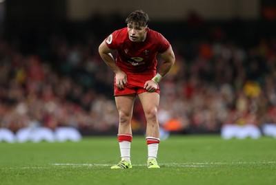 091125 - Wales v Argentina - Quilter Nations Series - Dan Edwards of Wales 
