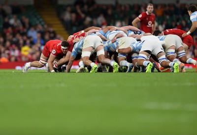 091125 - Wales v Argentina - Quilter Nations Series - Freddie Thomas of Wales 