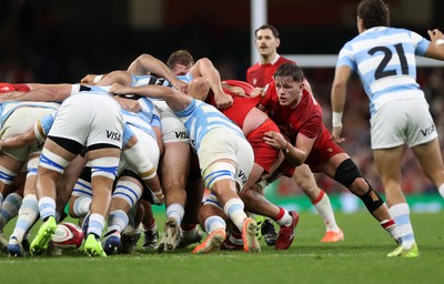 091125 - Wales v Argentina - Quilter Nations Series - Alex Mann of Wales 