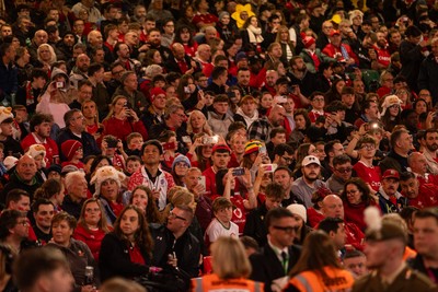 091125 - Wales v Argentina - Quilter Nations Series - Fans