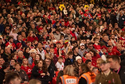 091125 - Wales v Argentina - Quilter Nations Series - Fans
