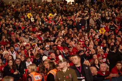 091125 - Wales v Argentina - Quilter Nations Series - Fans