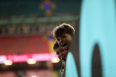 091125 - Wales v Argentina - Quilter Nations Series - Fans