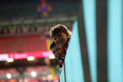 091125 - Wales v Argentina - Quilter Nations Series - Fans