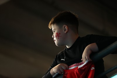 091125 - Wales v Argentina - Quilter Nations Series - Fans