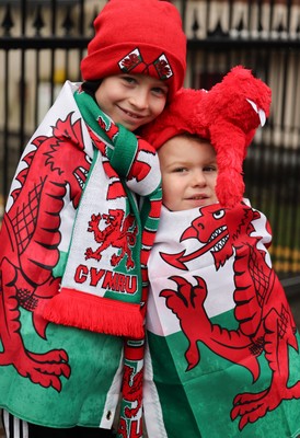 091125 - Wales v Argentina, Quilter Nations Series - Wales fans wait for the team coach to arrive at the stadium