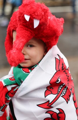 091125 - Wales v Argentina, Quilter Nations Series - Wales fans wait for the team coach to arrive at the stadium
