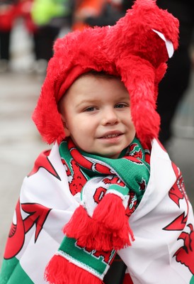 091125 - Wales v Argentina, Quilter Nations Series - Wales fans wait for the team coach to arrive at the stadium