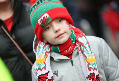 091125 - Wales v Argentina, Quilter Nations Series - Wales fans wait for the team coach to arrive at the stadium
