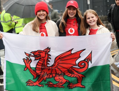 091125 - Wales v Argentina, Quilter Nations Series - Wales fans wait for the team coach to arrive at the stadium