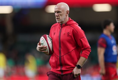 091125 - Wales v Argentina, Quilter Nations Series - Wales head coach Steve Tandy during warm up