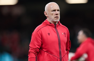 091125 - Wales v Argentina, Quilter Nations Series - Wales head coach Steve Tandy during warm up