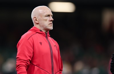 091125 - Wales v Argentina, Quilter Nations Series - Wales head coach Steve Tandy during warm up