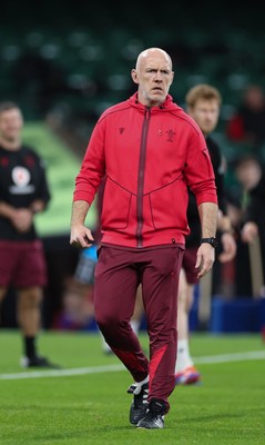 091125 - Wales v Argentina, Quilter Nations Series - Wales head coach Steve Tandy during warm up