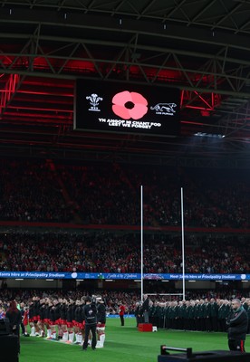 091125 - Wales v Argentina, Quilter Nations Series - The stadium falls quiet during the 2 minute silence for Remembrance Sunday