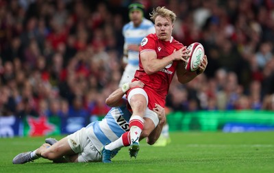 091125 - Wales v Argentina, Quilter Nations Series - Blair Murray of Wales offloads as he is tackled
