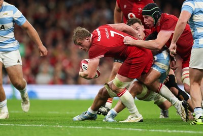 091125 - Wales v Argentina, Quilter Nations Series - Jac Morgan of Wales powers over to score try