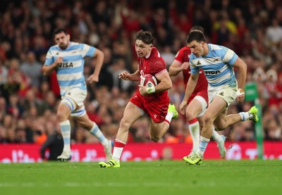 091125 - Wales v Argentina, Quilter Nations Series - Dan Edwards of Wales breaks away