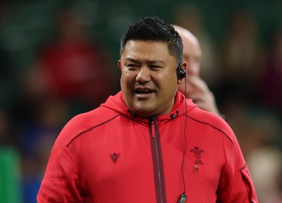 091125 - Wales v Argentina, Quilter Nations Series - Prav Mathema, Wales National Medical Manager