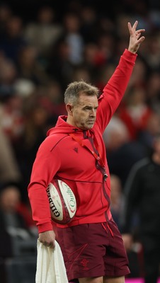 091125 - Wales v Argentina, Quilter Nations Series - Wales assistant coach Danny Wilson