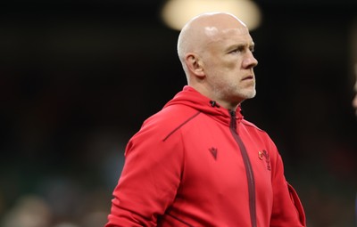 091125 - Wales v Argentina, Quilter Nations Series - Wales head coach Steve Tandy during warm up