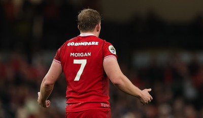 091125 - Wales v Argentina, Quilter Nations Series - Jac Morgan of Wales