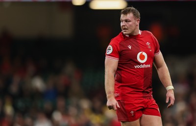 091125 - Wales v Argentina, Quilter Nations Series - Dewi Lake of Wales