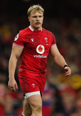 091125 - Wales v Argentina, Quilter Nations Series - Blair Murray of Wales