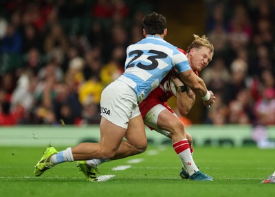 091125 - Wales v Argentina, Quilter Nations Series - Blair Murray of Wales is tackled by Rodrigo Isgro of Argentina