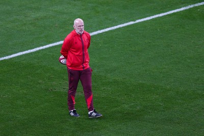 091125 - Wales v Argentina - Quilter Nations Series - Wales head coach Steve Tandy during the warm up
