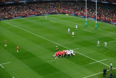 091125 - Wales v Argentina - Quilter Nations Series - Simon Benitez Cruz of Argentina puts the ball into a scrum